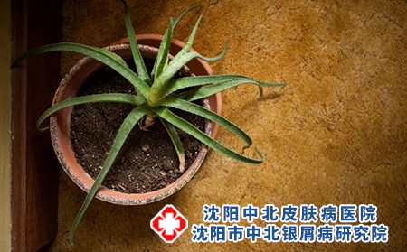 Dingtalk_20211104081245