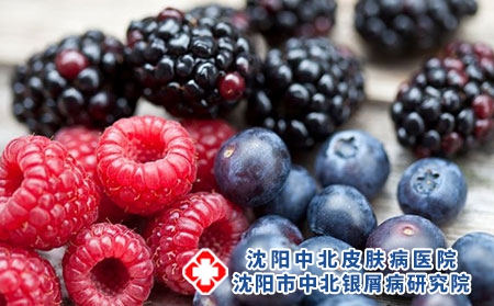 浆果 饮食