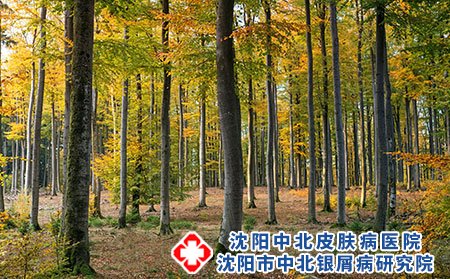 沈阳中北医院口碑